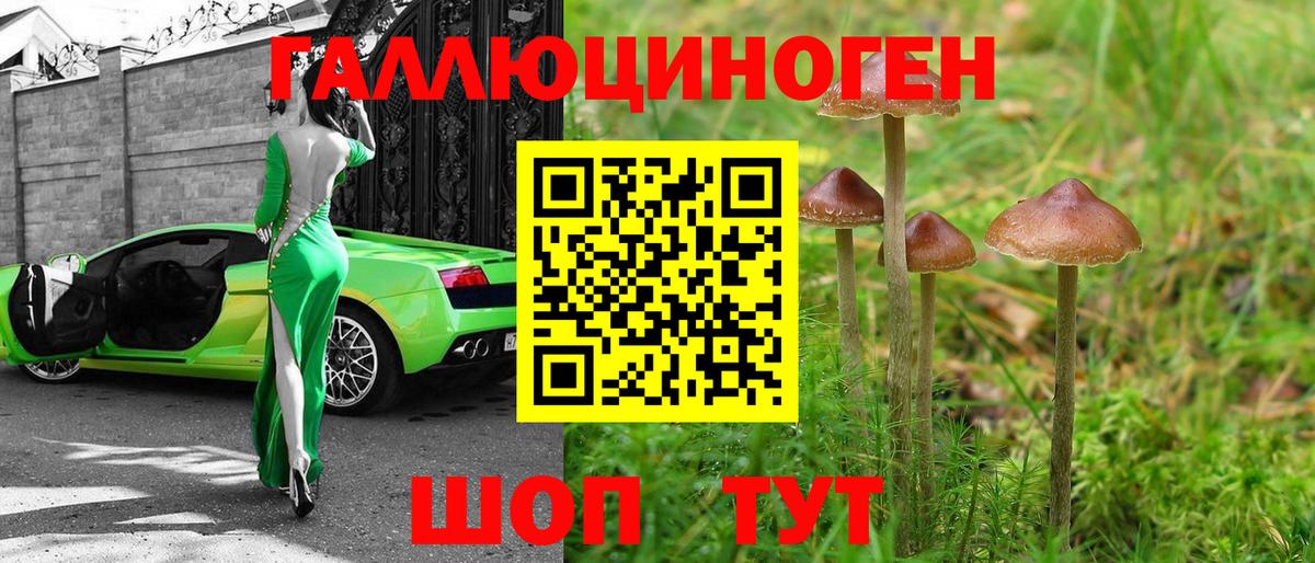 Ревда  купить наркотики сайты  Вход с VPN  Галлюциногенные грибы Psilocybine cubensis  Галлюциногенные грибы мицелий 