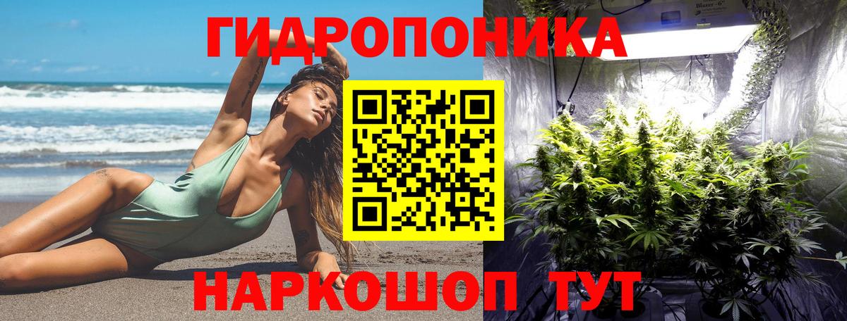 Конопля индика  Вход с VPN  Ревда  Шишки марихуана VHQ 